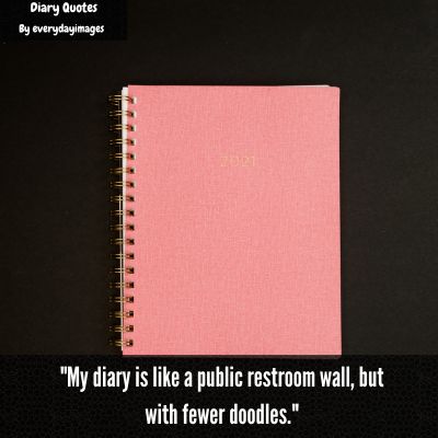 Funny Diary Quotes