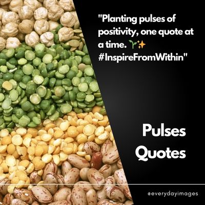 Pulses Quotes For Instagram