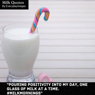 Milk Quotes For Instagram