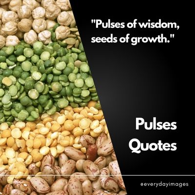 Short Pulses Quotes