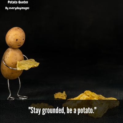 Short Potato Quotes