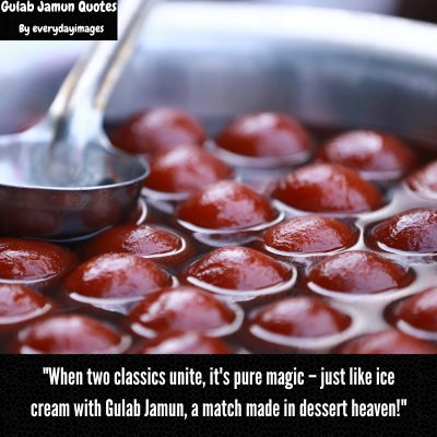 Ice Cream With Gulab Jamun Quotes