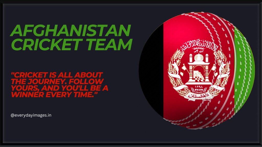 Afghanistan Cricket Team Quotes